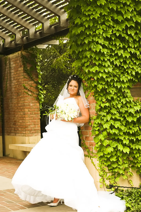 Professional Wedding Photography