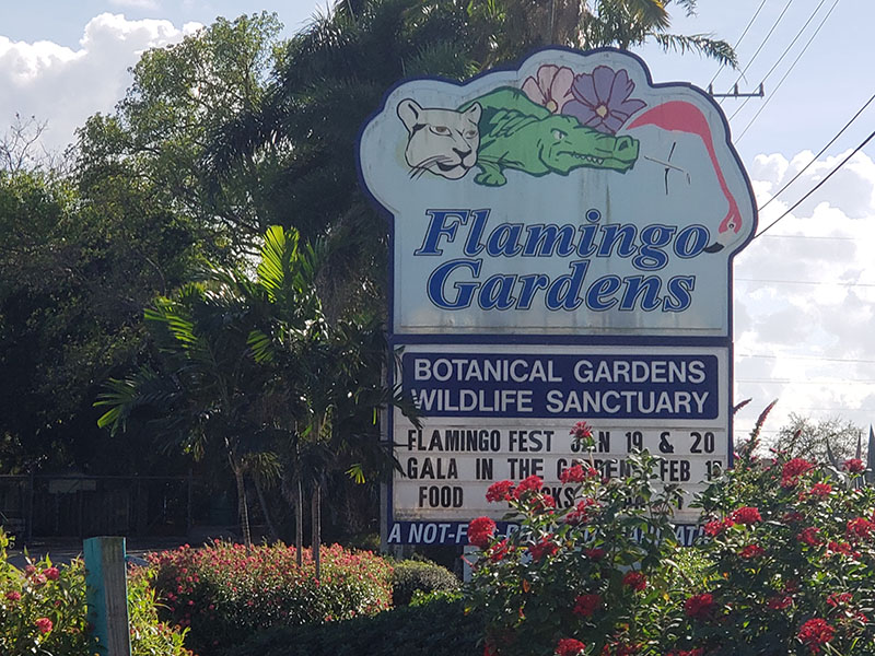Florida's Botanical Gardens & Everglades Wildlife Sanctuary, Davie, Florida