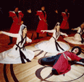 Georgian dancers, New York, USA