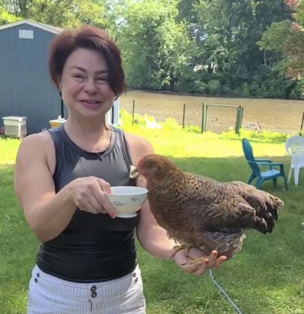 Trained chicken Karamelka